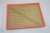 GM 09161235 Air Filter
